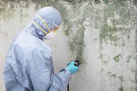 Best Airborne Mold Testing  in Siesta Key, FL